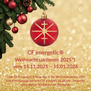 CF energetic Weihnachtsaktionen 2025
